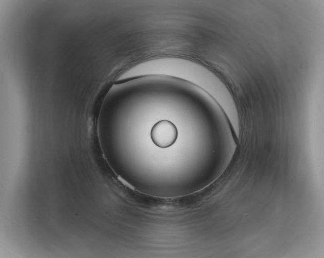 X0000112910308200908241211