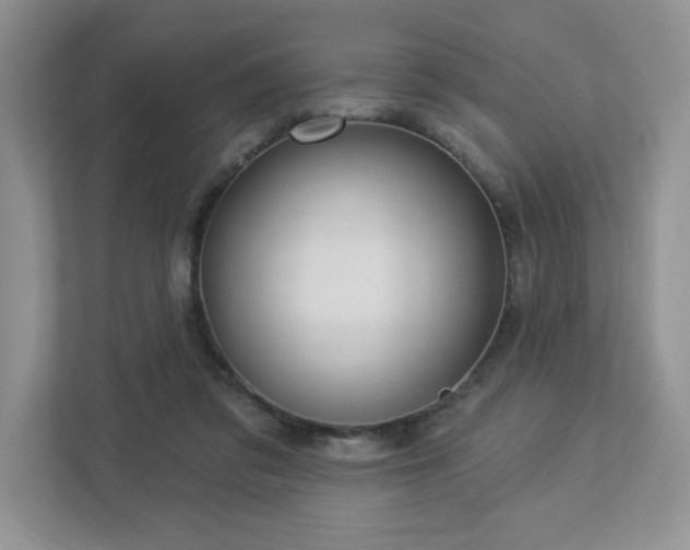 X0000112910309200908241211