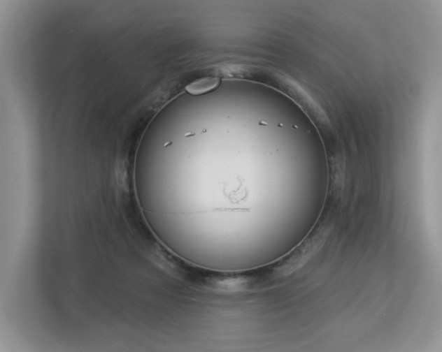 X0000112910313200908241211