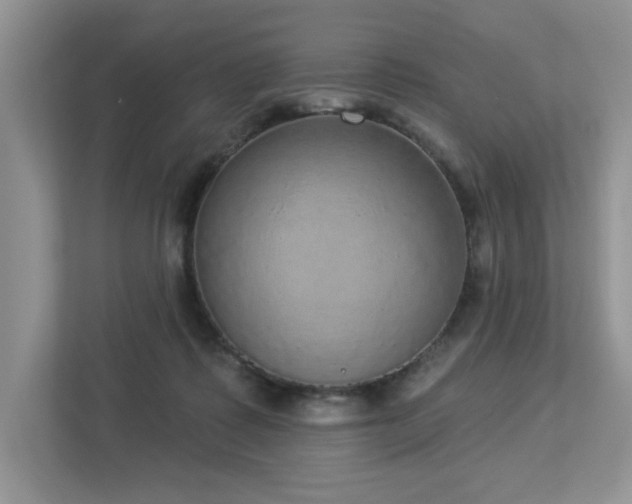 X0000112910315200908241211