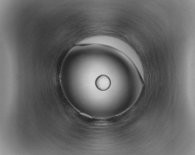 X0000112910316200908241211