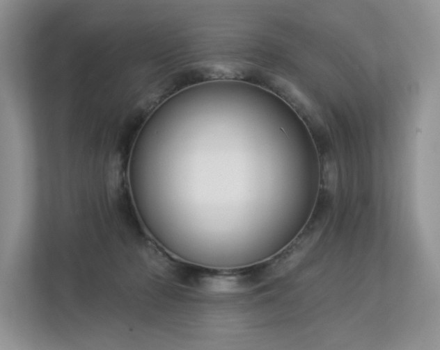 X0000112910318200908241211