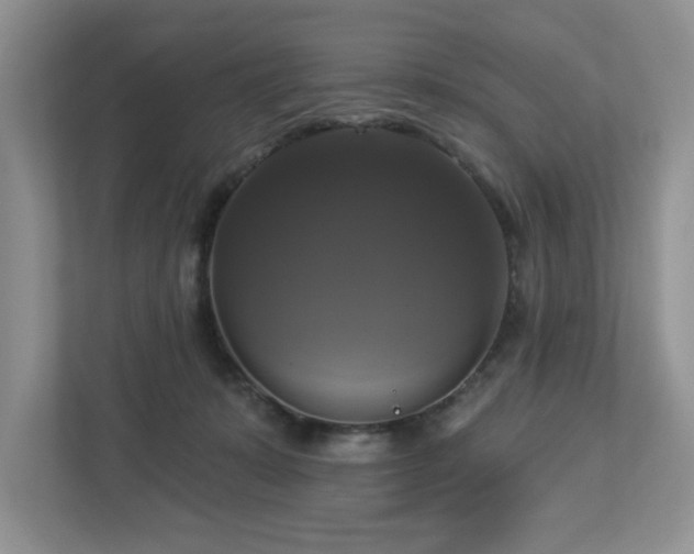 X0000112910319200908241211