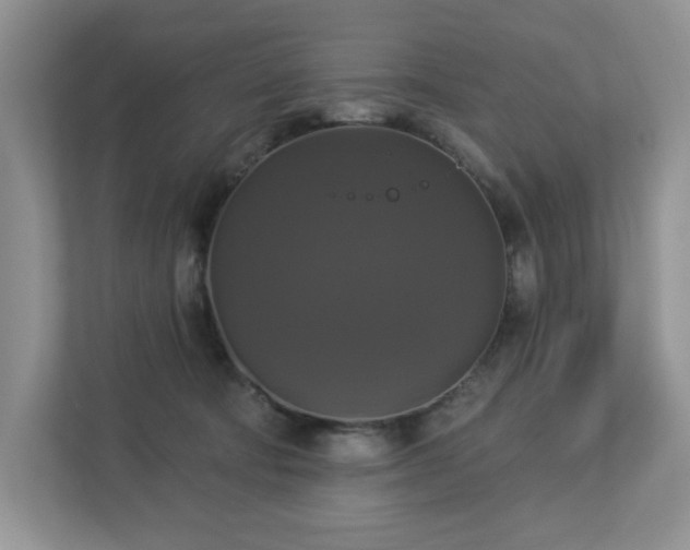 X0000112910322200908241211