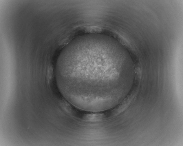 X0000112910323200908241211