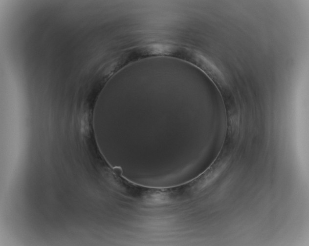 X0000112910325200908241211