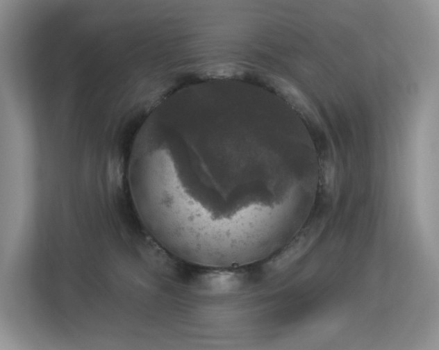 X0000112910326200908241211