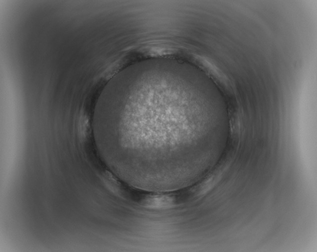 X0000112910327200908241211