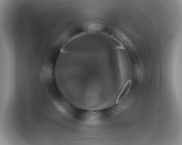 X0000112910328200908241211