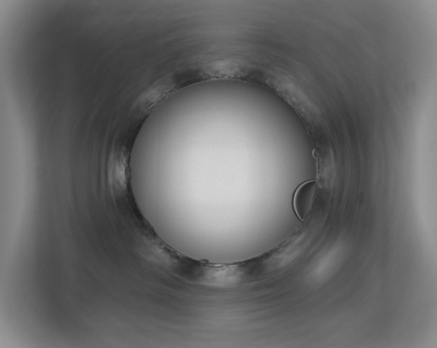 X0000112910334200908241211