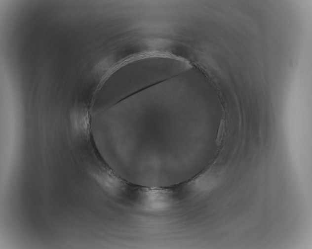 X0000112910336200908241211