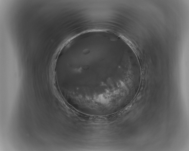 X0000112910337200908241210