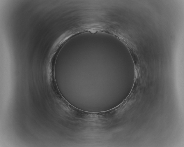 X0000112910339200908241210