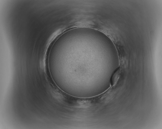 X0000112910340200908241210