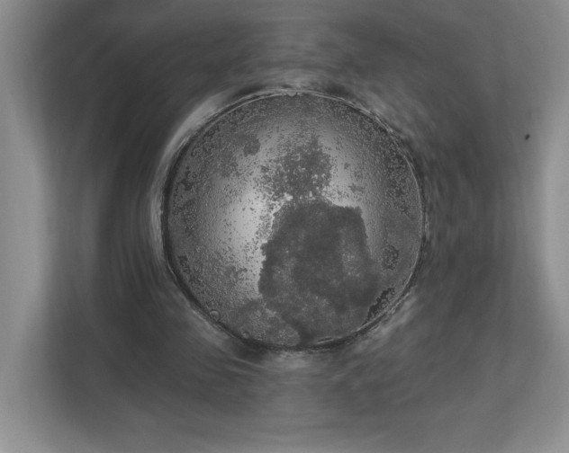 X0000112910341200908241210