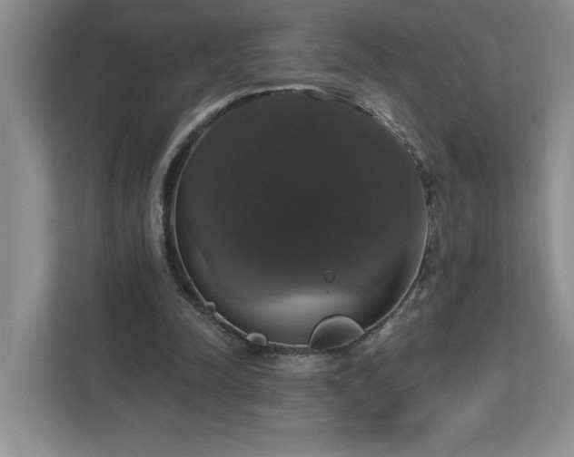 X0000112910342200908241210