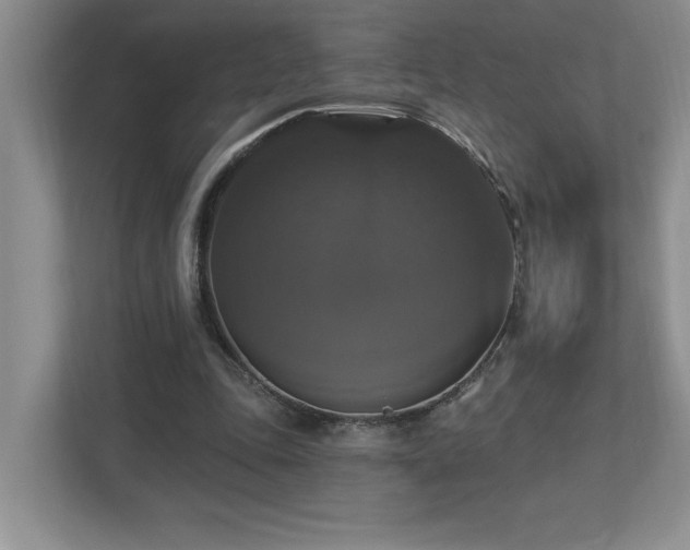 X0000112910343200908241210