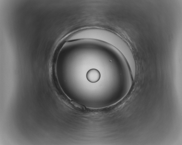 X0000112910344200908241210