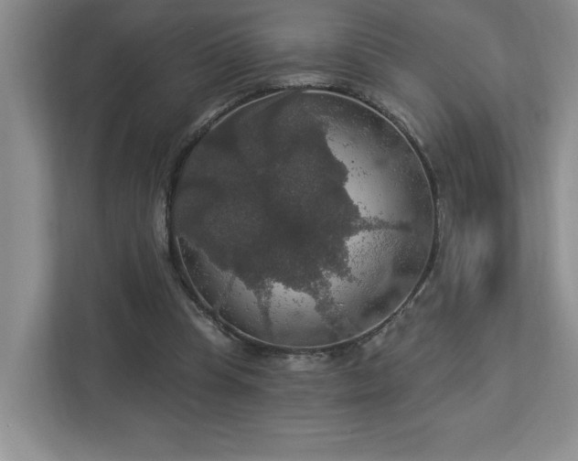 X0000112910345200908241210