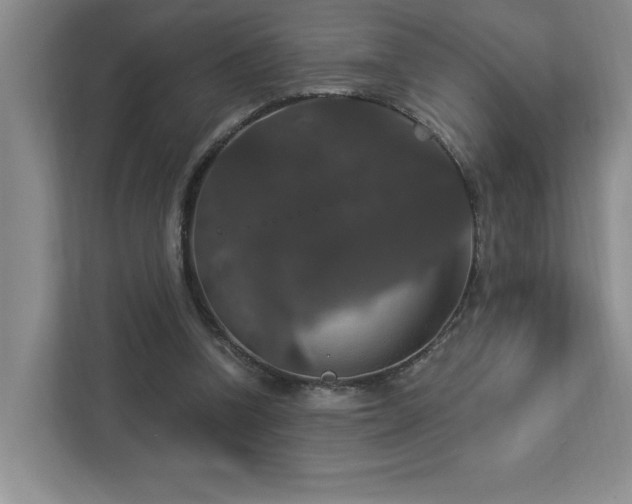 X0000112910346200908241210