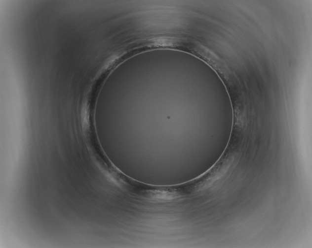 X0000112910347200908241210