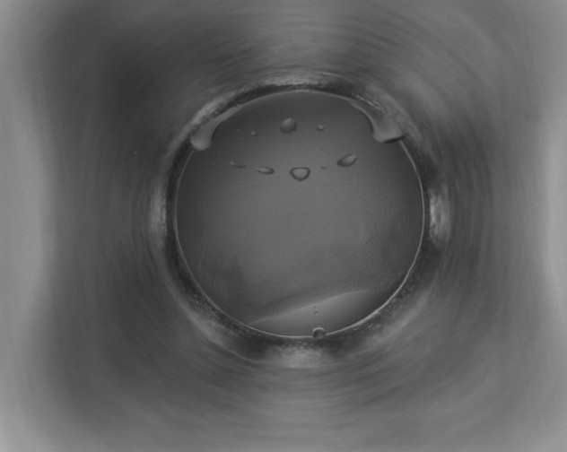 X0000112910348200908241210