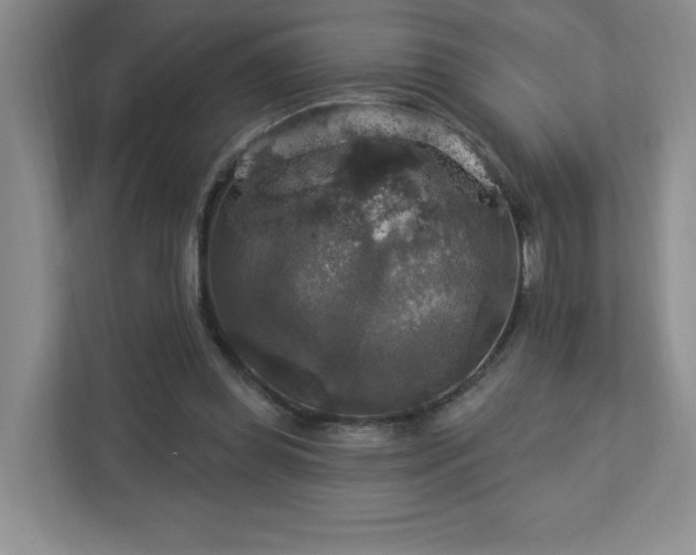 X0000112910349200908241210