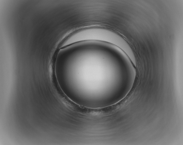 X0000112910350200908241210