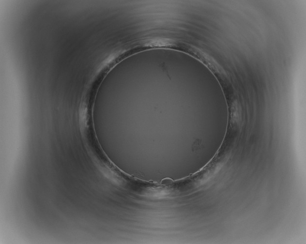 X0000112910351200908241210