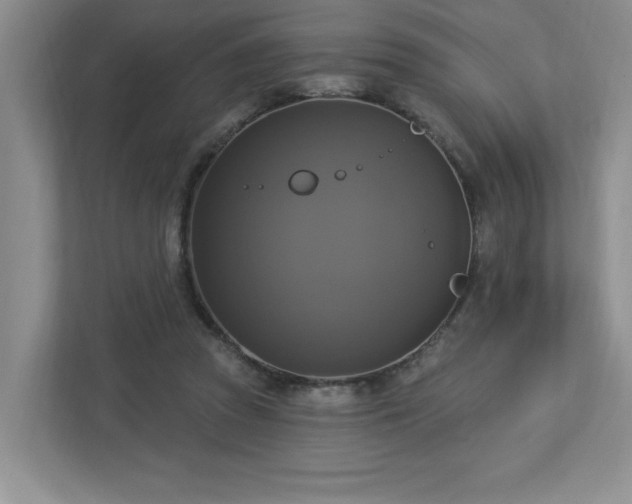 X0000112910353200908241210