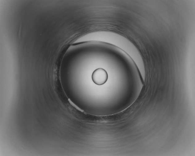 X0000112910356200908241210