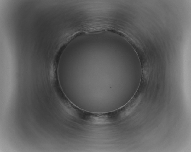 X0000112910359200908241211