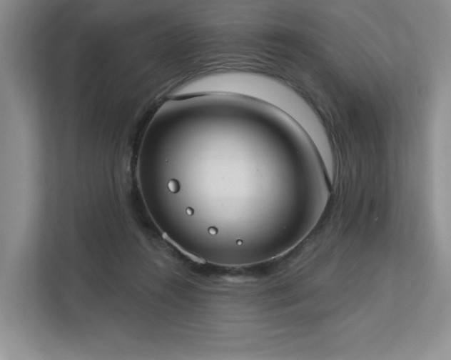 X0000112910360200908241211