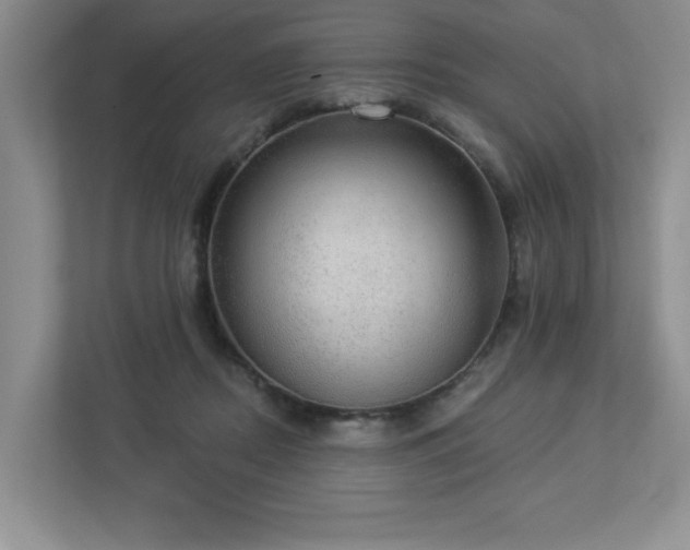 X0000112910362200908241211