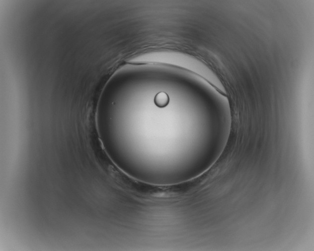 X0000112910364200908241211