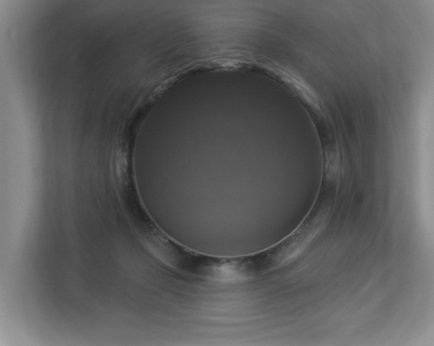 X0000112910365200908241211