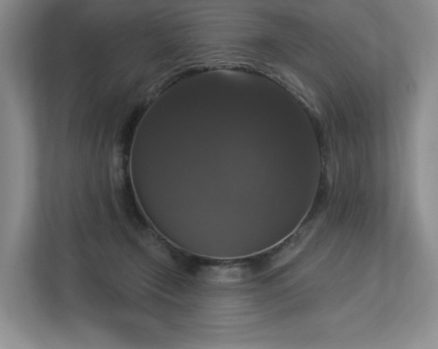 X0000112910366200908241211