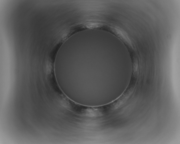 X0000112910367200908241211