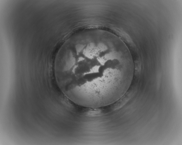 X0000112910369200908241211