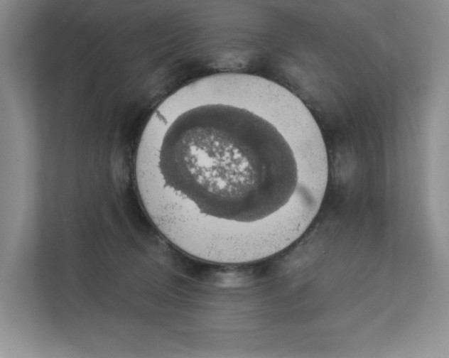 X0000112910370200908241211