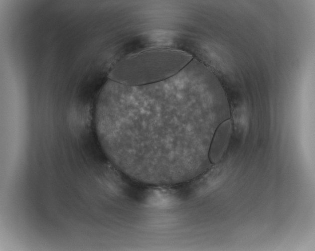 X0000112910372200908241211