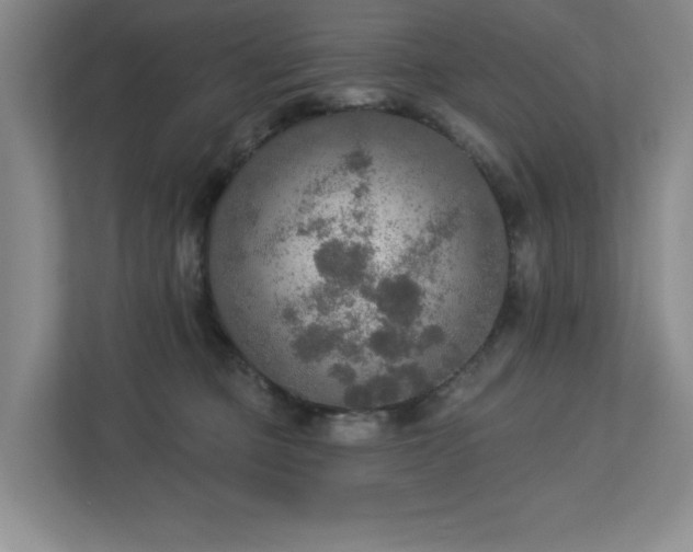 X0000112910373200908241211