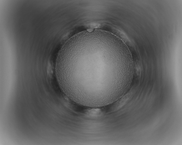 X0000112910374200908241211