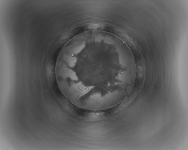 X0000112910375200908241211