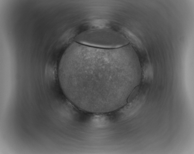 X0000112910376200908241211