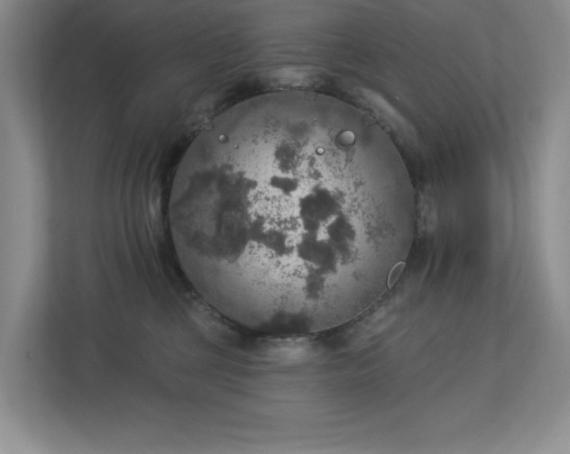 X0000112910377200908241211