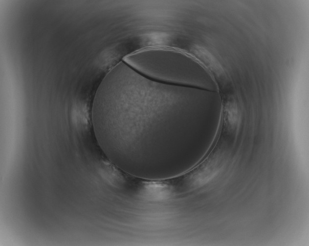 X0000112910380200908241211