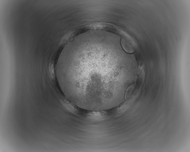 X0000112910381200908241211