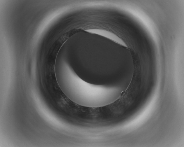 X0000112910382200908241211