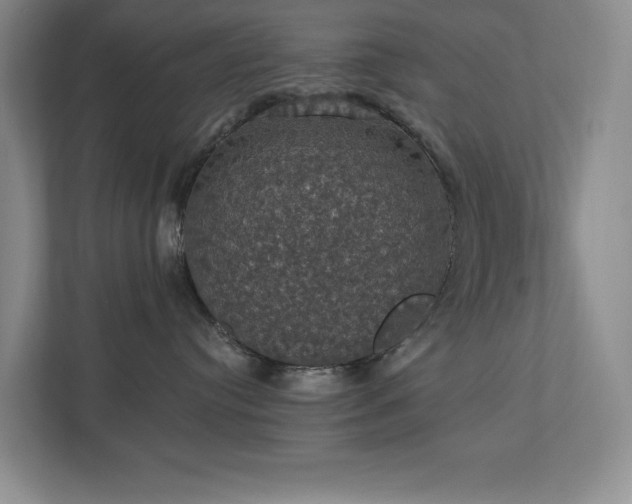 X0000112910384200908241211